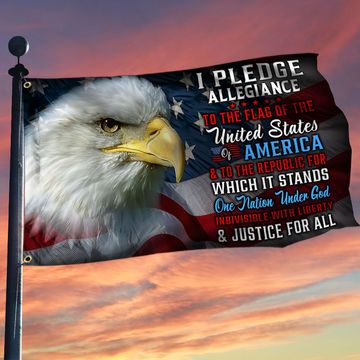 Discover Patriot Eagle Grommet Flag I Pledge Allegiance LHA1996GFv1