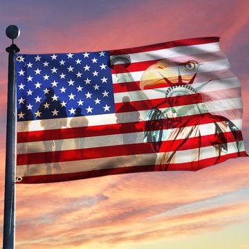 Discover Memorial Day. American Eagle Freedom Independence Day Flag THH3379GFv1