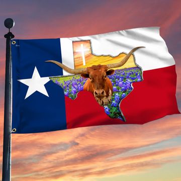 Discover Texas Longhorn In Bluebonnets Grommet Flag