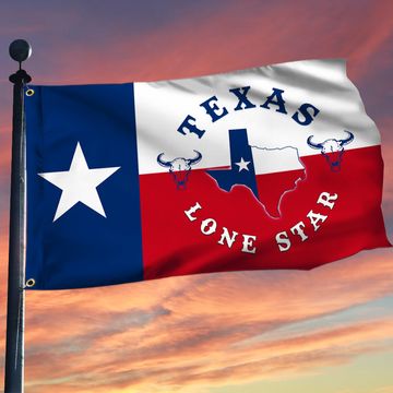 Discover Texas Flag Texas Lone Star Grommet Flag