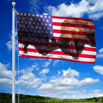 Discover Bison American Grommet Flag Huge American Bison