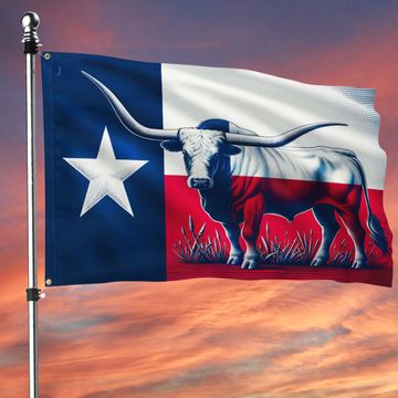 Discover Texas Longhorn Cattle Grommet Flag