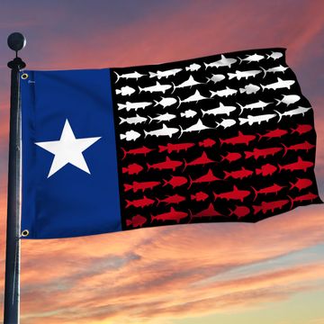 Discover Texas Fish Grommet Flag