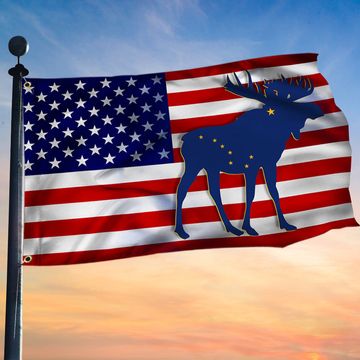 Discover Alaska State Moose Grommet Flag