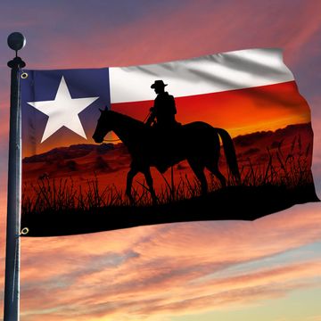 Discover Texas Flag Cowboy Texan Grommet Flag