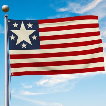 Discover A Very Rare Confederate Secession 1861 Confederate Flag
