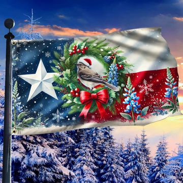 Discover Texas Bluebonnets and Mockingbird Texas Grommet Flag