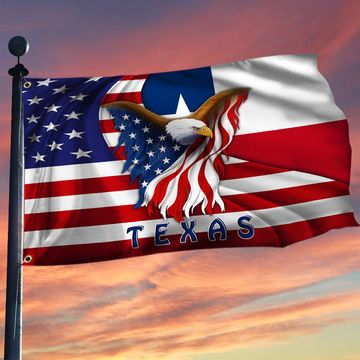 Discover Texas flag, Eagle Fly With Us