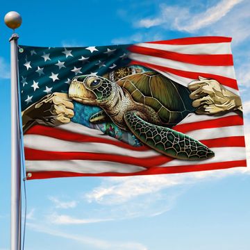 Discover Turtle American Grommet Flag