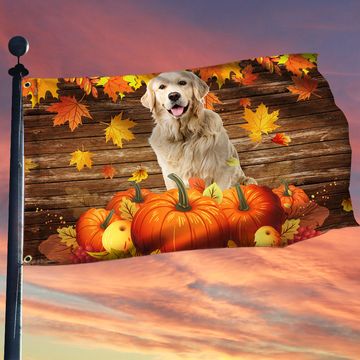 Discover Golden Retriever, Pumpkins Happy Fall Thanksgiving Grommet Flag