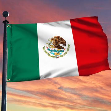 Discover Mexico Flag Day Mexican Grommet Flag