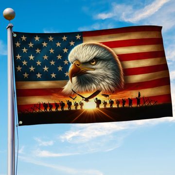 Discover Veterans Patriotic Military Eagle American Grommet Flag