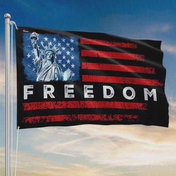 Discover Distressed American Freedom Grommet Flag with Liberty for Decor