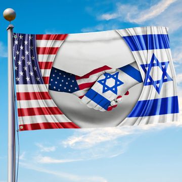 Discover Israel America Israeli American Grommet Flag