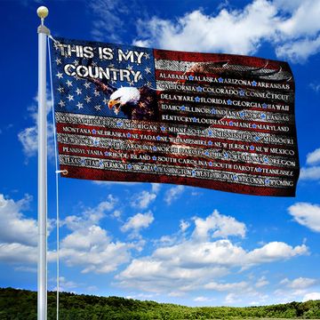 Discover American Patriot Grommet Flag Country