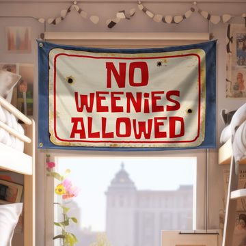 Discover No Weenies Allowed Funny Dorm Flag