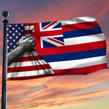 Discover Hawaii American Grommet Flag