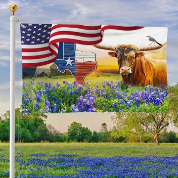 Discover Texas Longhorn Bluebonnet Grommet Flag MLN1111GFv1