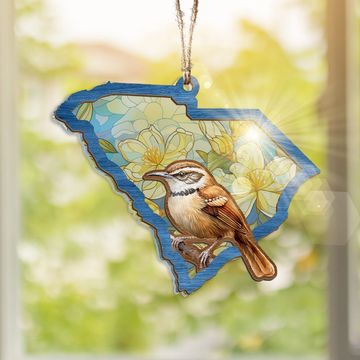 Discover Christmas Ornament, South Carolina Gifts, Suncatcher Ornaments Home Decor 3-Day Shipping