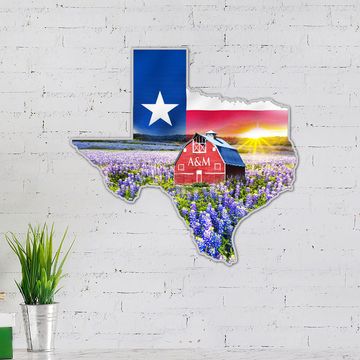 Discover Texas Hanging Metal Sign Bright Star LNT167MSv1