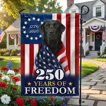 Discover 250 Years 1776 2026 Patriotic Black Labrador Retriever American Flag