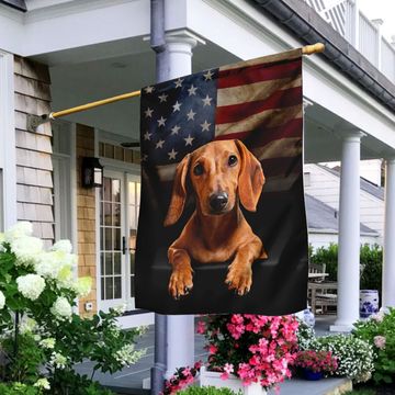 Discover Red Dachshund American Flag