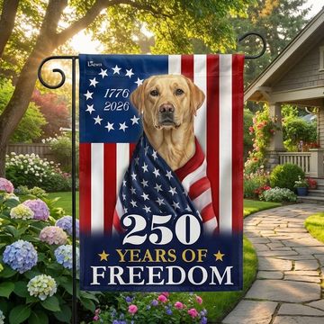 Discover Patriotic Labrador Retriever American Flag for 250 Years Anniversary