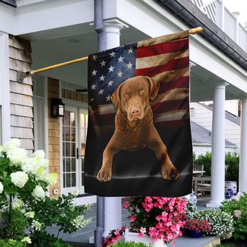 Discover Chesapeake Bay Retriever Dog American Flag