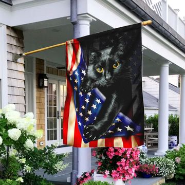 Discover Black Cat American Flag