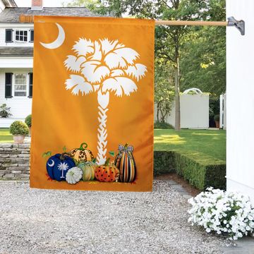 Discover Fall In South Carolina State Flag