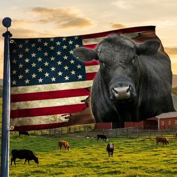 Discover Black Angus Cattle American Grommet Flag, Cow Farm Flag