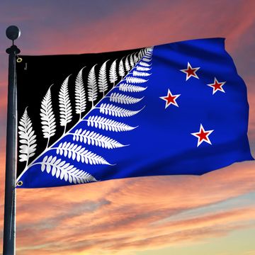 Discover New Zealand Silver Fern Grommet Flag