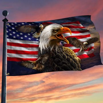 Discover Patriotic Eagle Grommet Flag