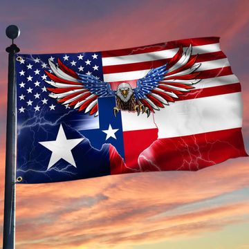 Discover Texas American Eagle Grommet Flag