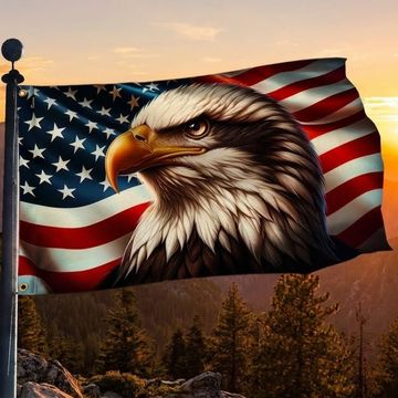 Discover Flagwix American Flag, America 250th Anniversary Patriotic Eagle American Grommet Flag 3-Day Shipping