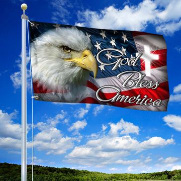 Discover Patriot Eagle Grommet Flag