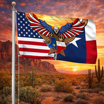 Discover Texas American Eagle Flag