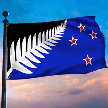 Discover Referendum New Zealand Grommet FLag