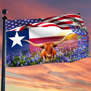 Discover Texas Longhorns Bluebonnets Mockingbird, Texas Flag