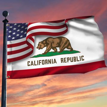 Discover California Flag American California Grommet Flag TRV1683GFv13