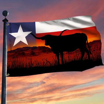Discover Texas Flag Texas Longhorn Cattle Texan Grommet Flag TRV1720GFv1