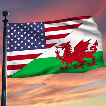 Discover Welsh Flag Welsh American Grommet Flag