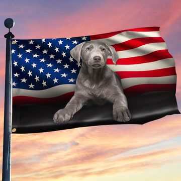Discover Silver Labrador American Grommet Flag QNN437GFV7b