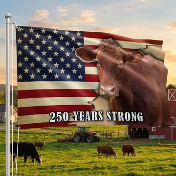 Discover 250 Years Strong Cow American Grommet Flag for Farmhouse Patriotic Decor
