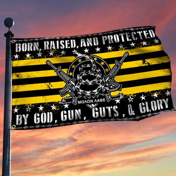 Discover Second Amendment Gadsden Flag THB2212GFv1
