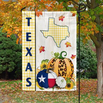 Discover Texas Fall Thanksgiving Pumpkins Flag MLN1737Fv3