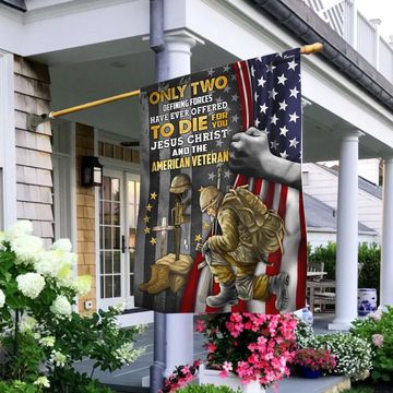 Discover Jesus Christ And The American Veteran Flag, Veterans Day Decor