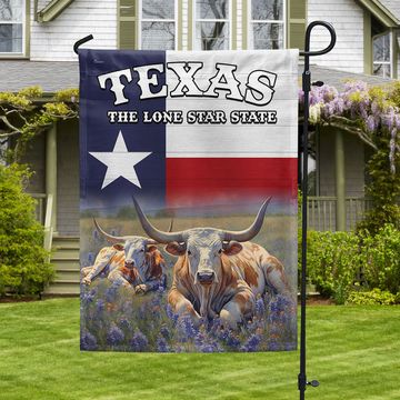 Discover Texas Longhorn The Lone Star Flag - state flag