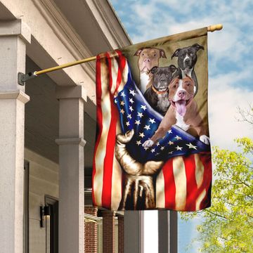 Discover Pitbull American Flag