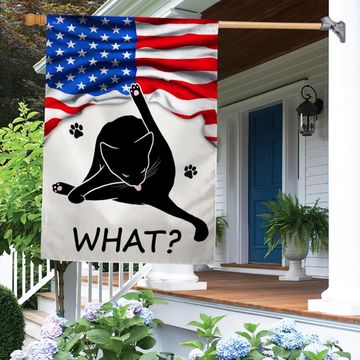 Discover Funny Cat What American Flag